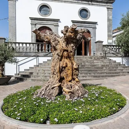 En El Casco Historico De San Mateo * Vega de San Mateo